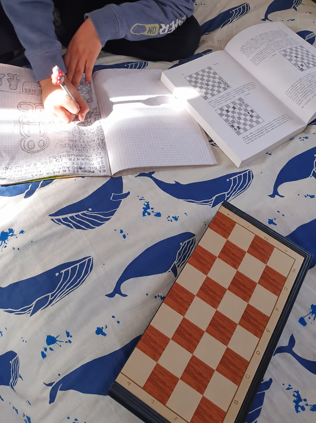 Manos escribiendo en un cuaderno junto a un libro y un tablero de ajedrez sobre la cama